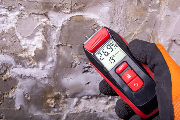 Best Crawl Space Mold Removal  in Morehead, KY