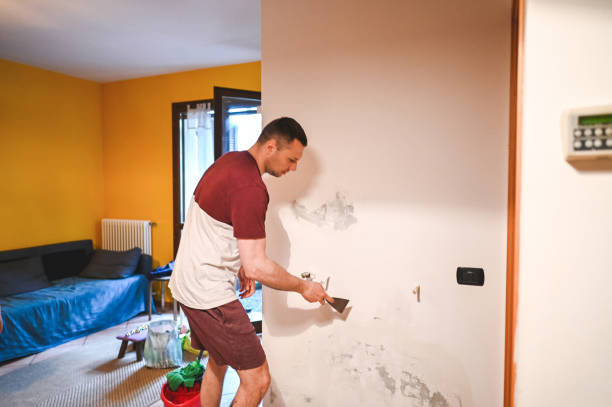 Best Attic Mold Removal  in Morehead, KY